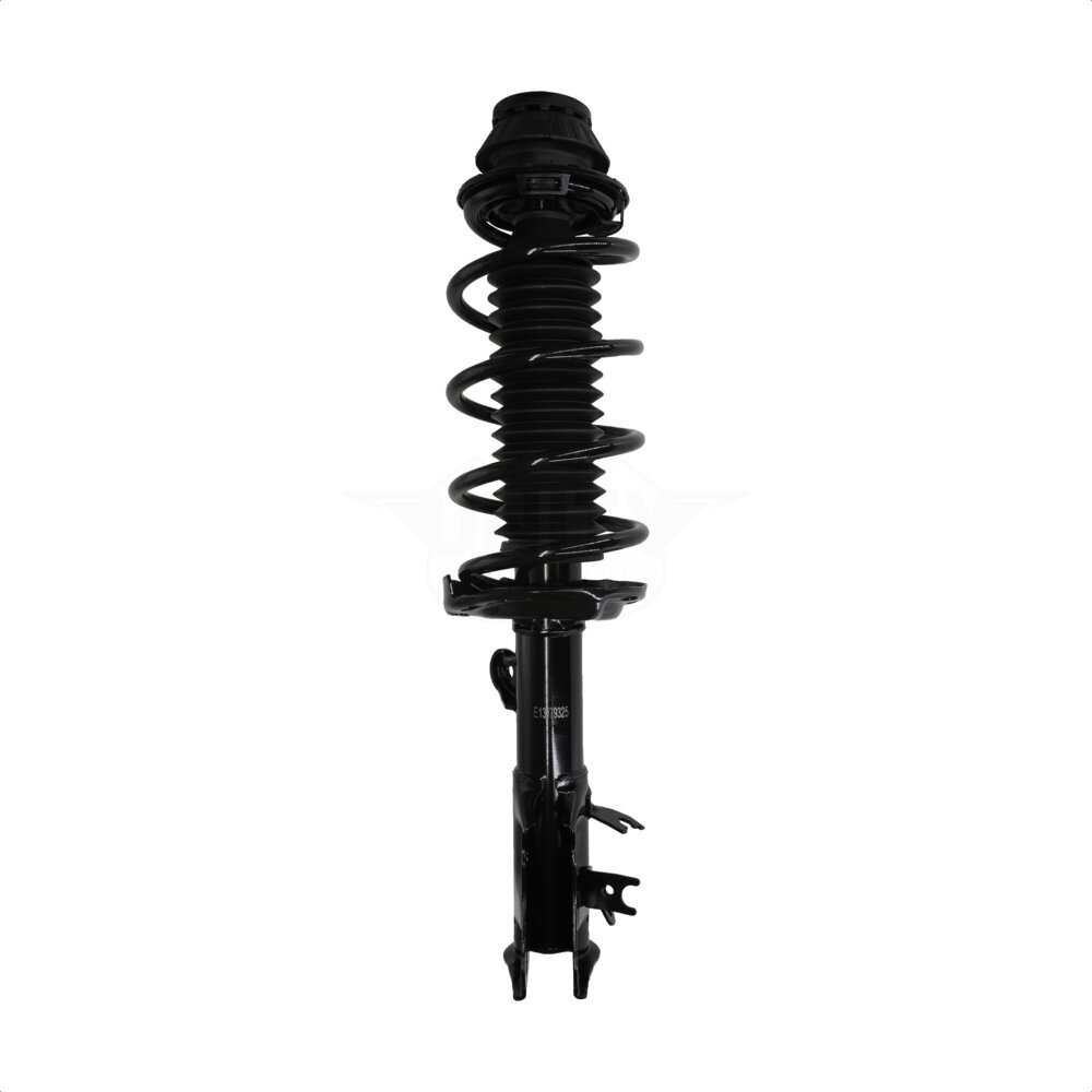 Suspension Strut Coil Spring Assembly