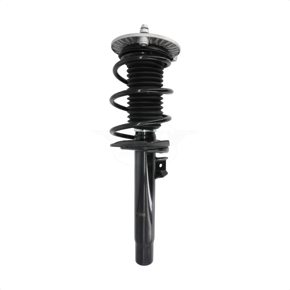 Suspension Strut Coil Spring Assembly