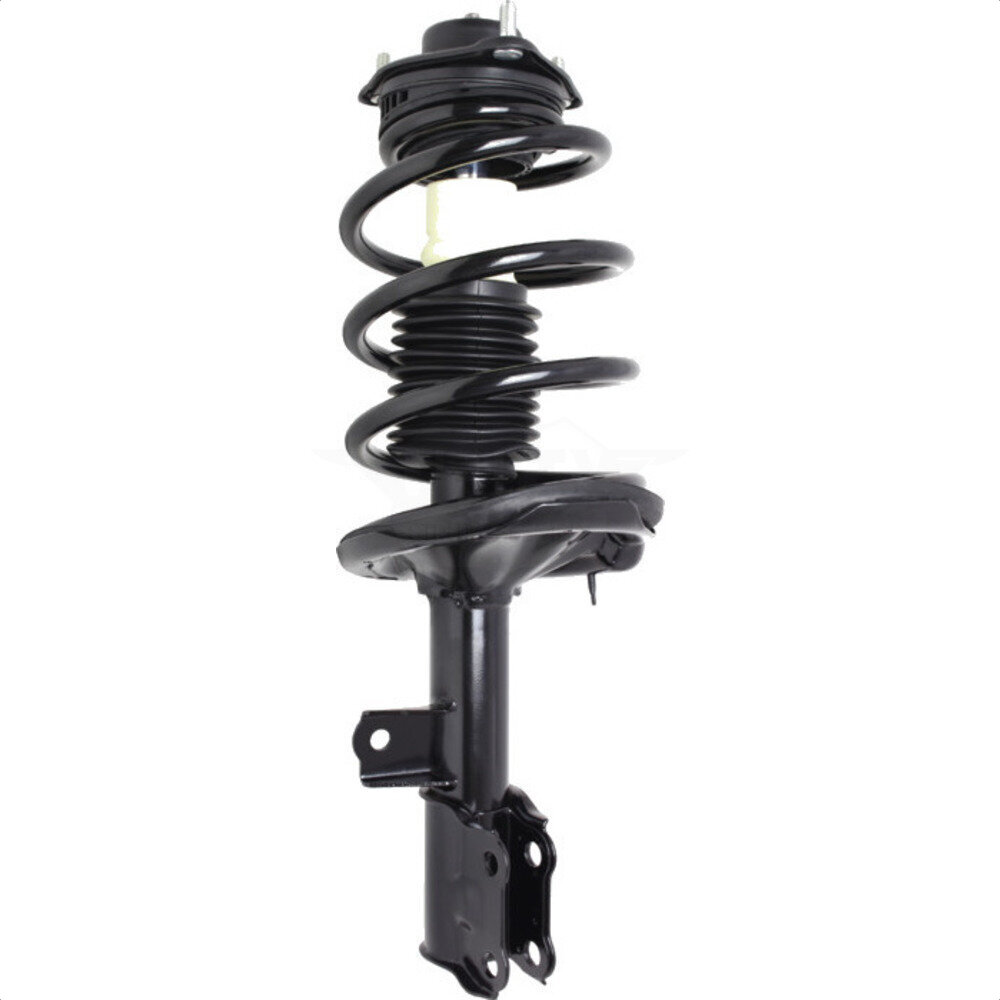 Suspension Strut Coil Spring Assembly