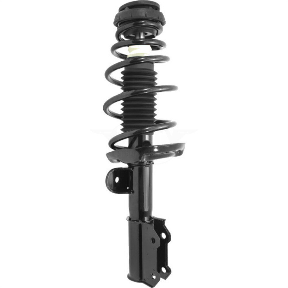 Suspension Strut Coil Spring Assembly