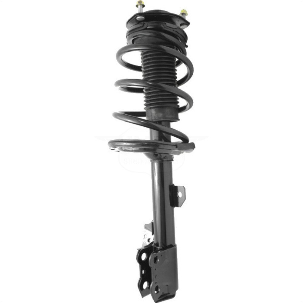 Suspension Strut Coil Spring Assembly