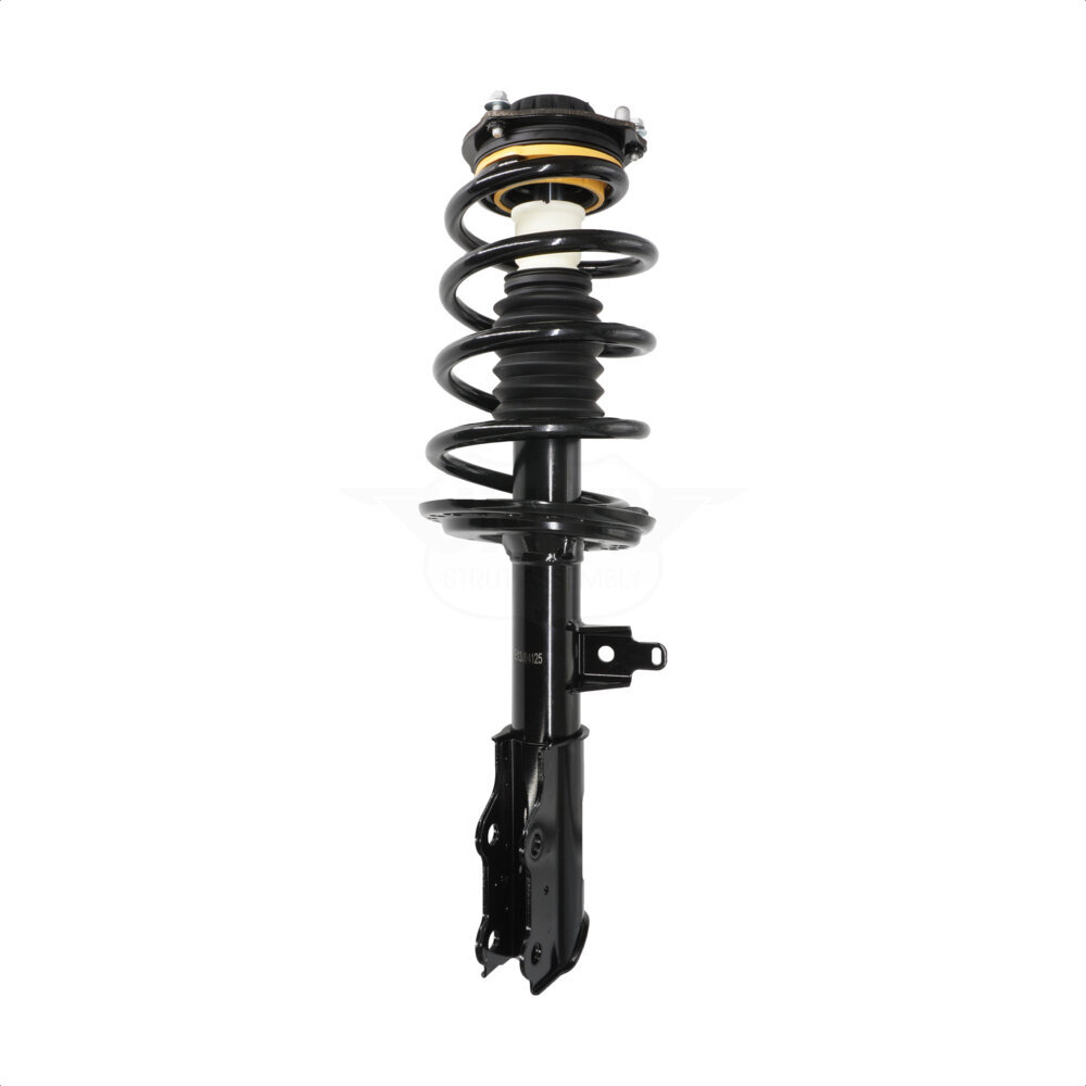 Suspension Strut Coil Spring Assembly