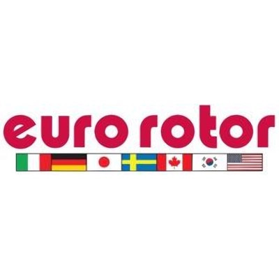 Rear New Brake Shoes by EUROROTOR - 569