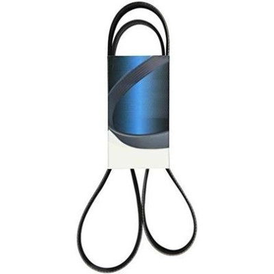 DAYCO - A060398 - Serpentine Belt