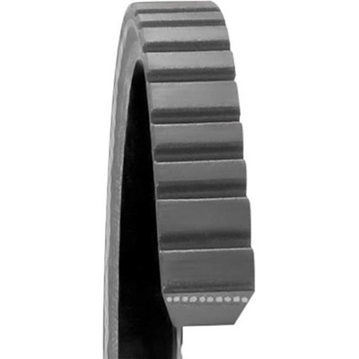 Dayco - 17265 - DAYCO - 17265 - Power Steering And Water Pump Belt