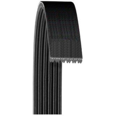 Serpentine Belt by DAYCO - A070407