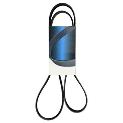 Serpentine Belt by DAYCO - 5060460