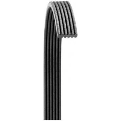 Dayco - 6060502 - Serpentine Belt by DAYCO - 6060502