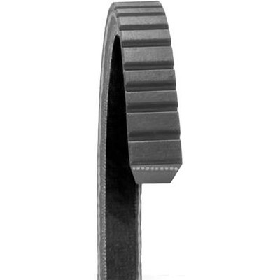 Fan Belt by DAYCO - 17465