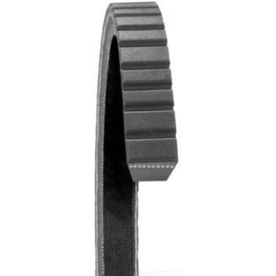 Dayco - 17415 - Power Steering Belt by DAYCO - 17415