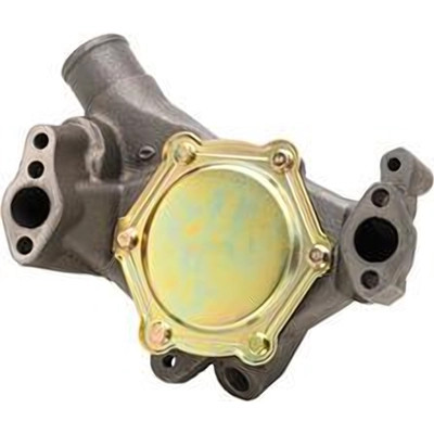 Dayco - DP967 - DAYCO - DP967 - New Water Pump