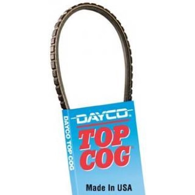 Dayco - 15570 - Air Conditioning And Air Pump Belt by DAYCO - 15570