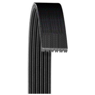 Serpentine Belt by DAYCO - 5061380