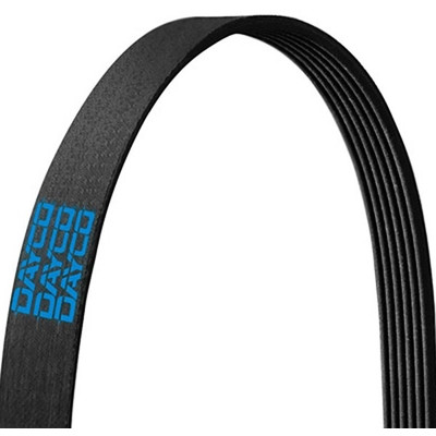 DAYCO - 5040343 - Serpentine Belt