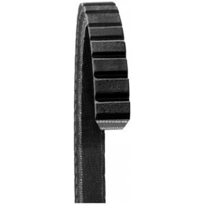 Alternator And Vacuum Belt by DAYCO - 15295