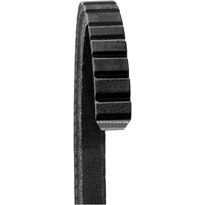 Dayco - 15520 - Alternator And Fan Belt by DAYCO - 15520