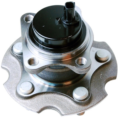 Rear Hub Assembly