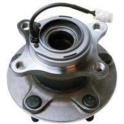 Rear Hub Assembly