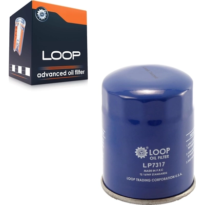 TRANSIT WAREHOUSE - LOP-LP7317 - Oil Filter