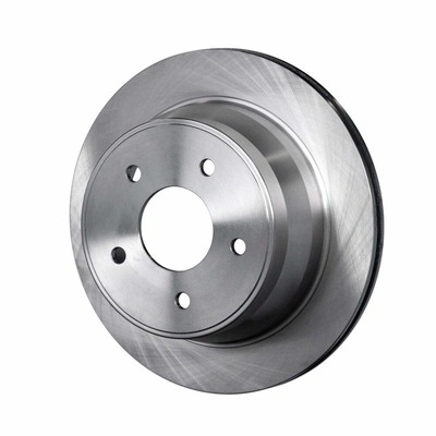 Rear Disc Brake Rotor