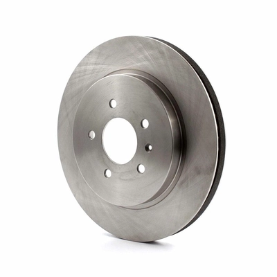 Rear Disc Brake Rotor