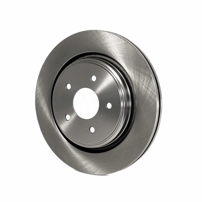 Rear Disc Brake Rotor