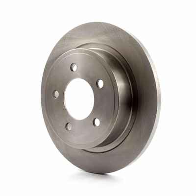 Rear Disc Brake Rotor
