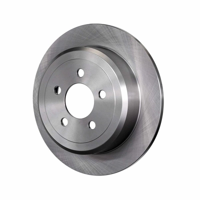 Rear Disc Brake Rotor