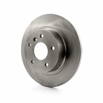 Rear Disc Brake Rotor