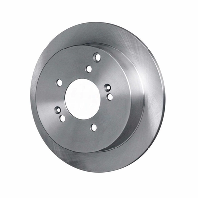 Rear Disc Brake Rotor