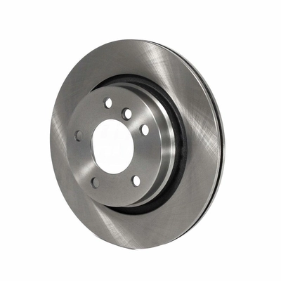 Rear Disc Brake Rotor