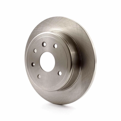 Rear Disc Brake Rotor