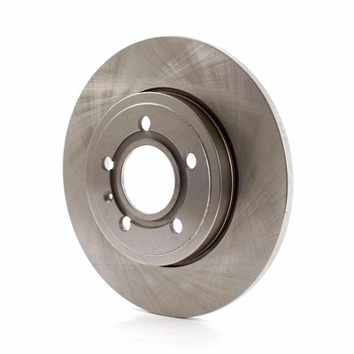 Rear Disc Brake Rotor