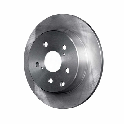 Rear Disc Brake Rotor