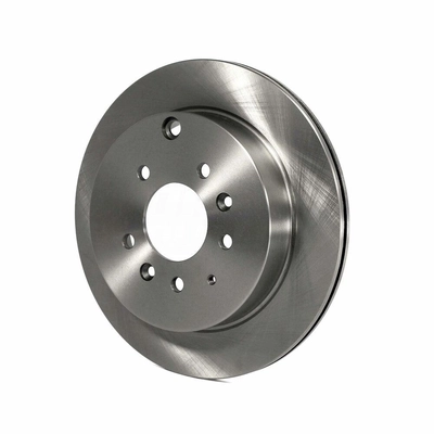 Rear Disc Brake Rotor