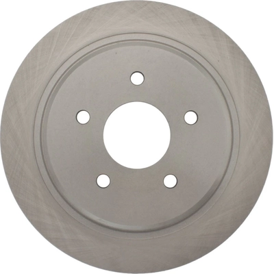Rear Disc Brake Rotor