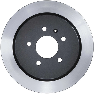 Rear Disc Brake Rotor