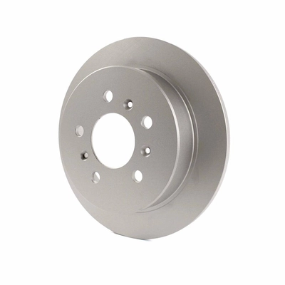 Rear Disc Brake Rotor