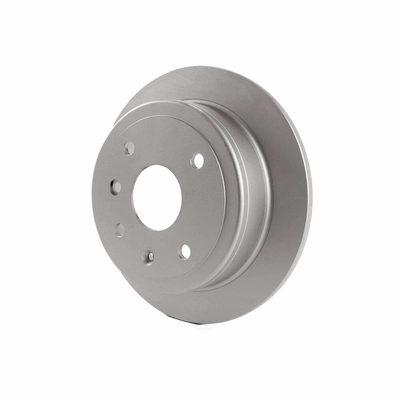Rear Disc Brake Rotor