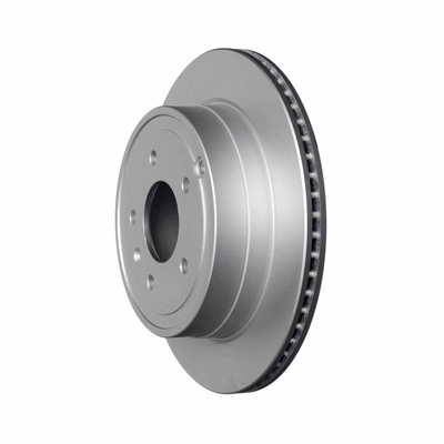 Rear Disc Brake Rotor