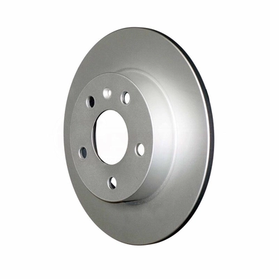 Rear Disc Brake Rotor
