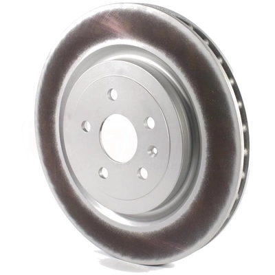 Rear Disc Brake Rotor