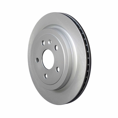 Rear Disc Brake Rotor