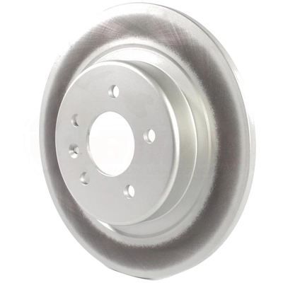 Rear Disc Brake Rotor