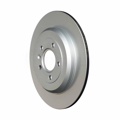 Rear Disc Brake Rotor