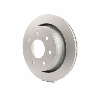Rear Disc Brake Rotor