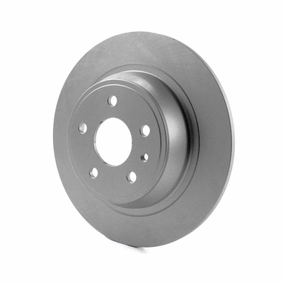 Rear Disc Brake Rotor