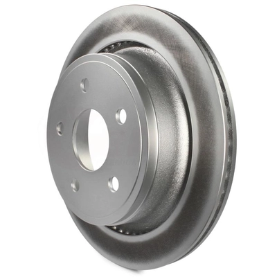 Rear Disc Brake Rotor