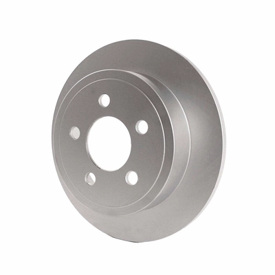 Rear Disc Brake Rotor