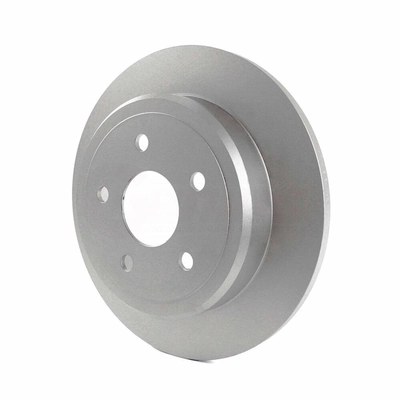 Rear Disc Brake Rotor
